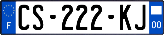 CS-222-KJ
