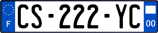 CS-222-YC