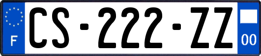 CS-222-ZZ