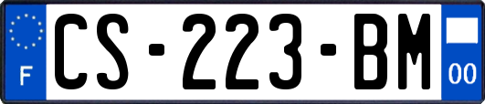 CS-223-BM