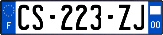 CS-223-ZJ