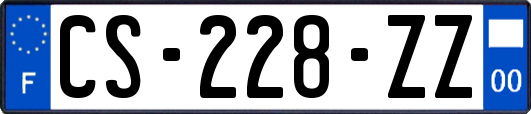 CS-228-ZZ