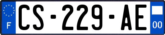 CS-229-AE