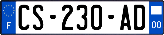 CS-230-AD