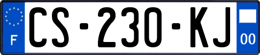 CS-230-KJ