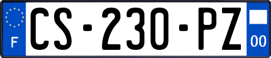 CS-230-PZ