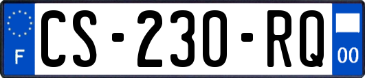 CS-230-RQ
