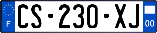 CS-230-XJ