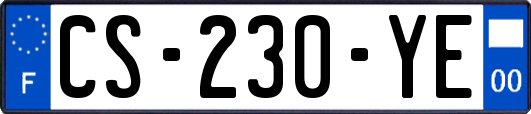 CS-230-YE