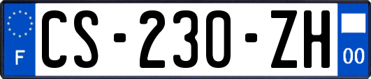 CS-230-ZH