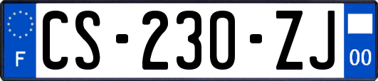 CS-230-ZJ