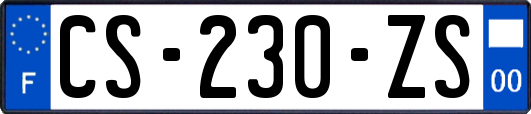 CS-230-ZS