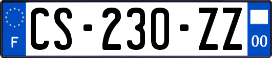 CS-230-ZZ