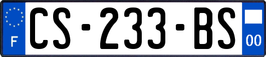 CS-233-BS