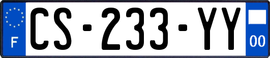 CS-233-YY
