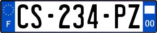 CS-234-PZ