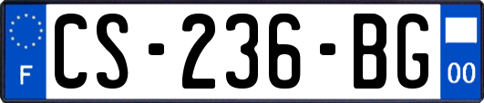 CS-236-BG