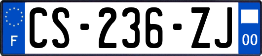 CS-236-ZJ