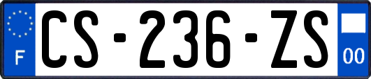 CS-236-ZS