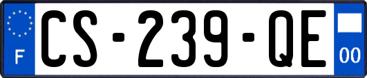 CS-239-QE