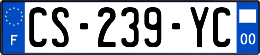 CS-239-YC