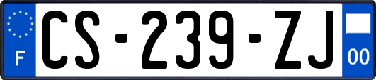 CS-239-ZJ