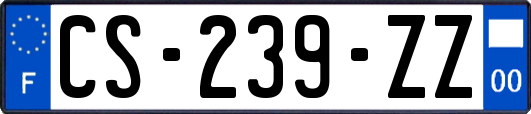 CS-239-ZZ