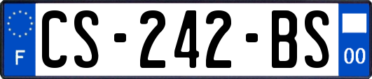 CS-242-BS