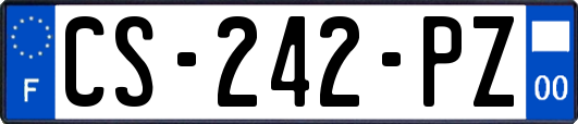 CS-242-PZ