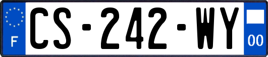 CS-242-WY