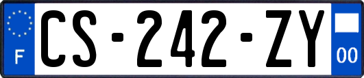 CS-242-ZY