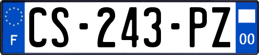 CS-243-PZ