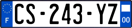 CS-243-YZ