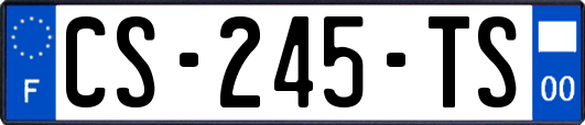 CS-245-TS