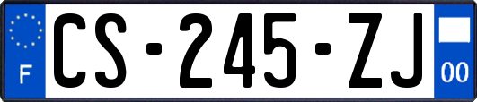 CS-245-ZJ