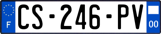 CS-246-PV