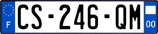 CS-246-QM