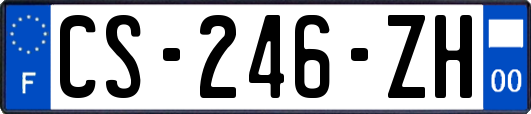 CS-246-ZH