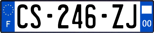 CS-246-ZJ