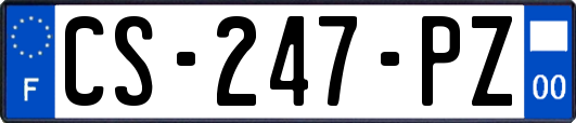 CS-247-PZ