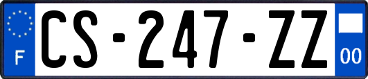 CS-247-ZZ