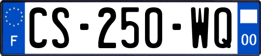 CS-250-WQ