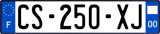 CS-250-XJ