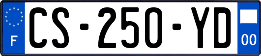 CS-250-YD