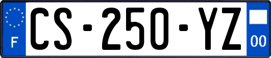 CS-250-YZ