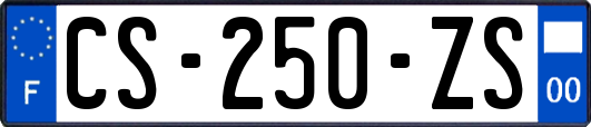 CS-250-ZS