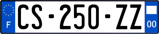 CS-250-ZZ