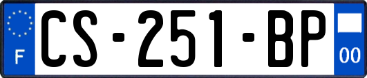 CS-251-BP