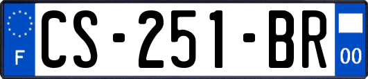 CS-251-BR