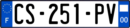 CS-251-PV